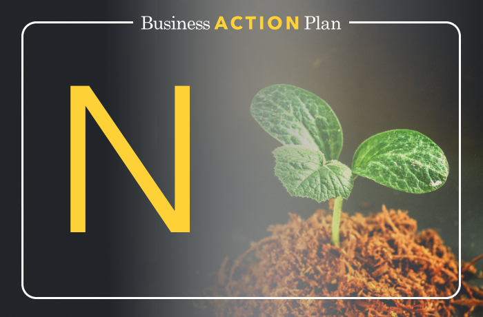 Business Action Plan A