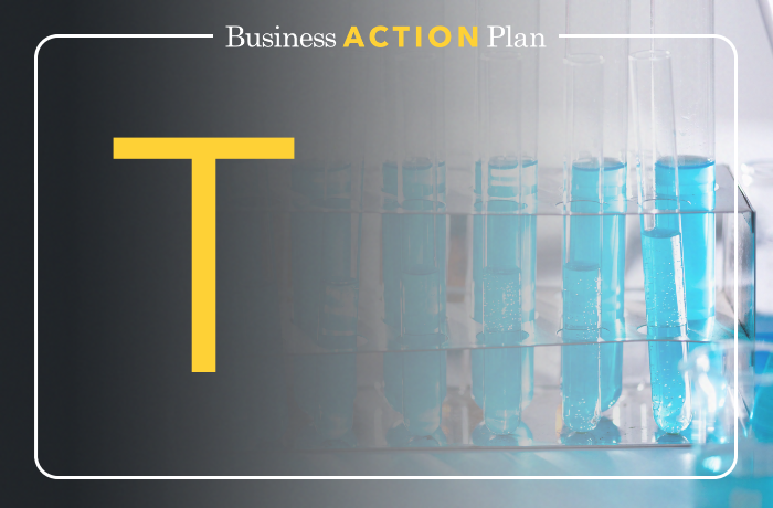 Business Action Plan A